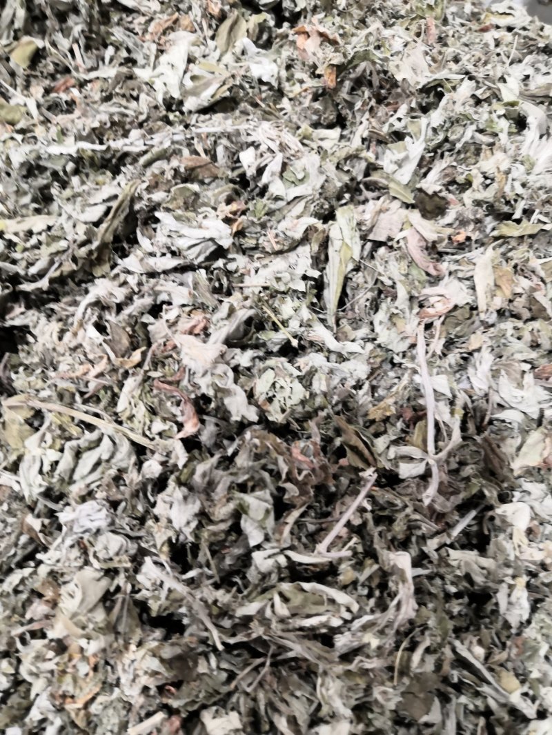 艾草中药材各种规格大货批发供应一手货源价格优。