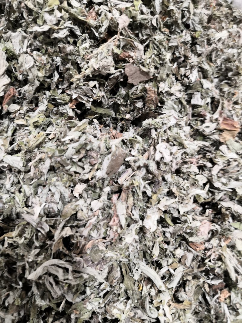 艾草中药材各种规格大货批发供应一手货源价格优。