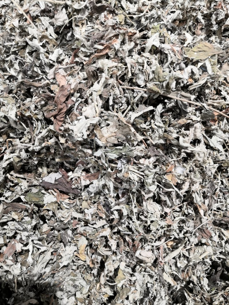 艾草中药材各种规格大货批发供应一手货源价格优。