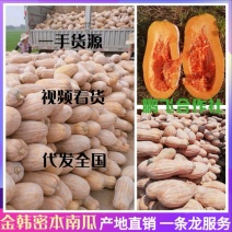 湖北嘉鱼县【金韩蜜本南瓜】五斤打底.自产自销.欢迎考察