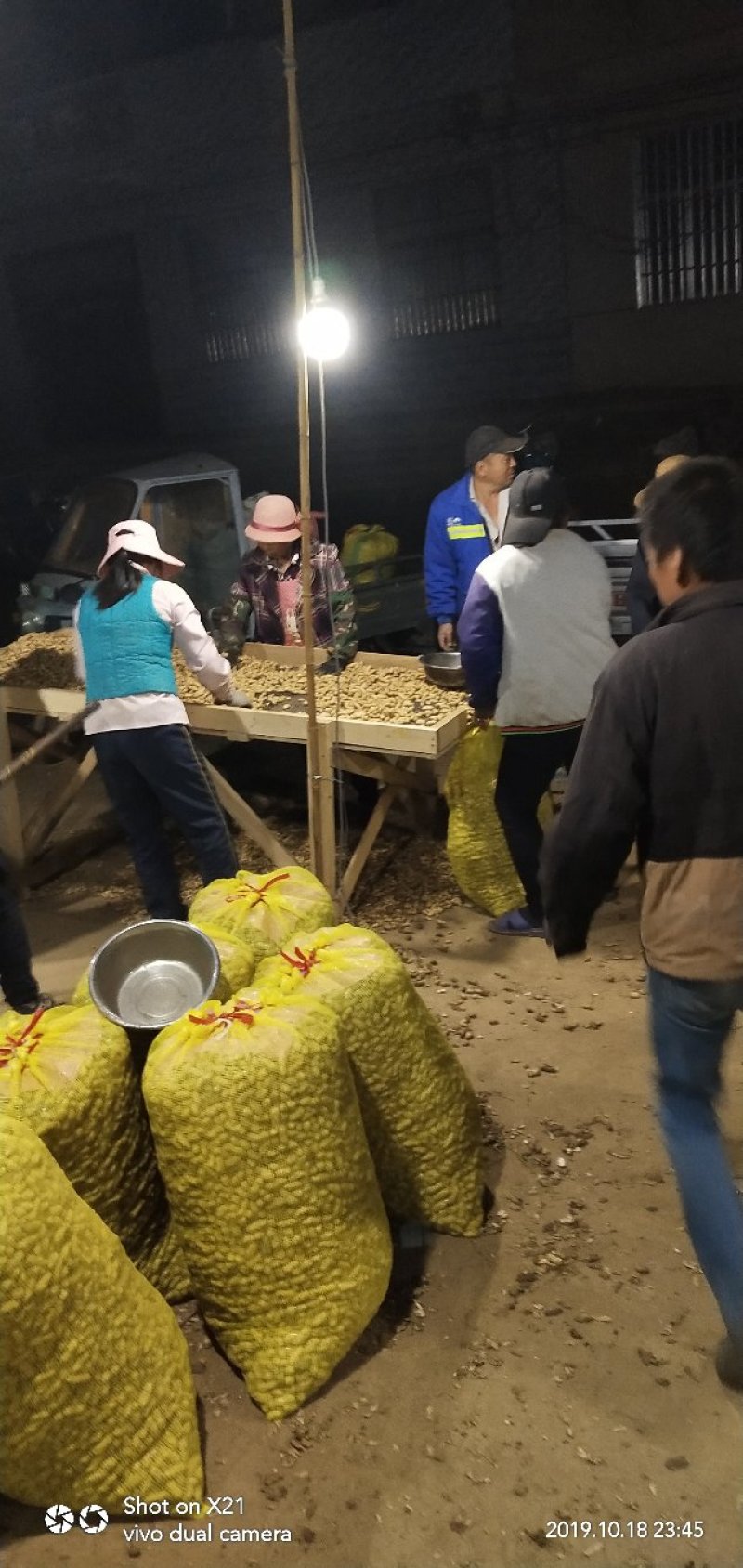精品大白沙鲜花生过筛手选诚信合作诚信经营