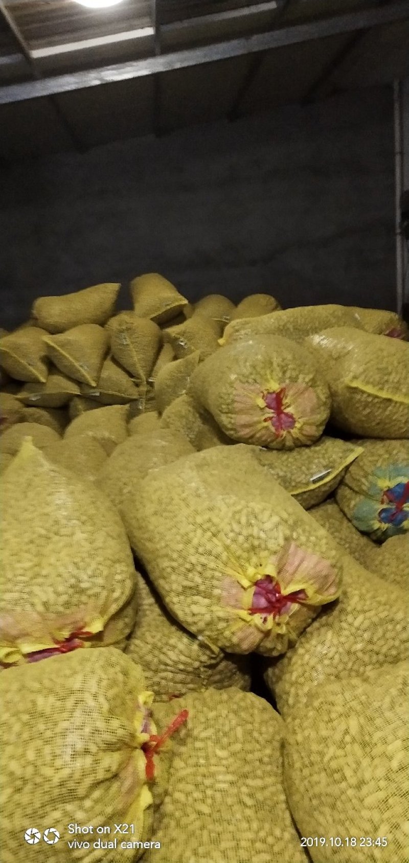 精品大白沙鲜花生过筛手选诚信合作诚信经营