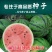 东北大西瓜种子种旺和欣巨型地雷麒麟早熟圆抗重茬大红瓤高糖