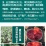 东北大西瓜种子种旺和欣巨型地雷麒麟早熟圆抗重茬大红瓤高糖