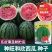 东北大西瓜种子种旺和欣巨型地雷麒麟早熟圆抗重茬大红瓤高糖