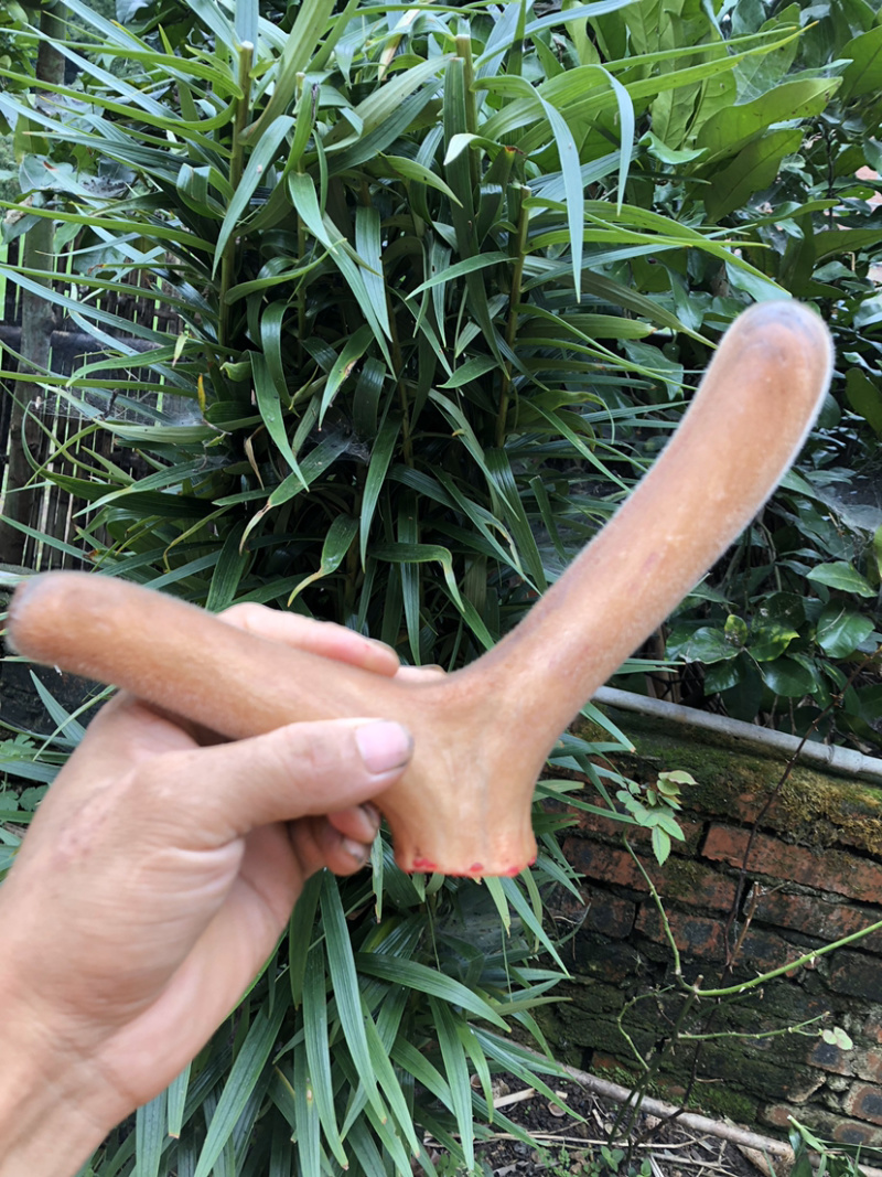 【鹿场直销】血茸含血充足野草饲养零添加精品鹿茸