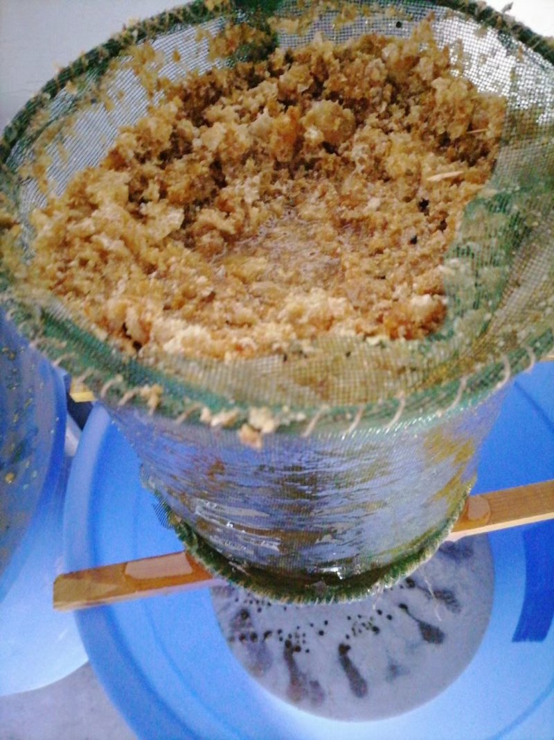 【假一赔十】农家土蜂蜜，深山老林养殖，大量供应中