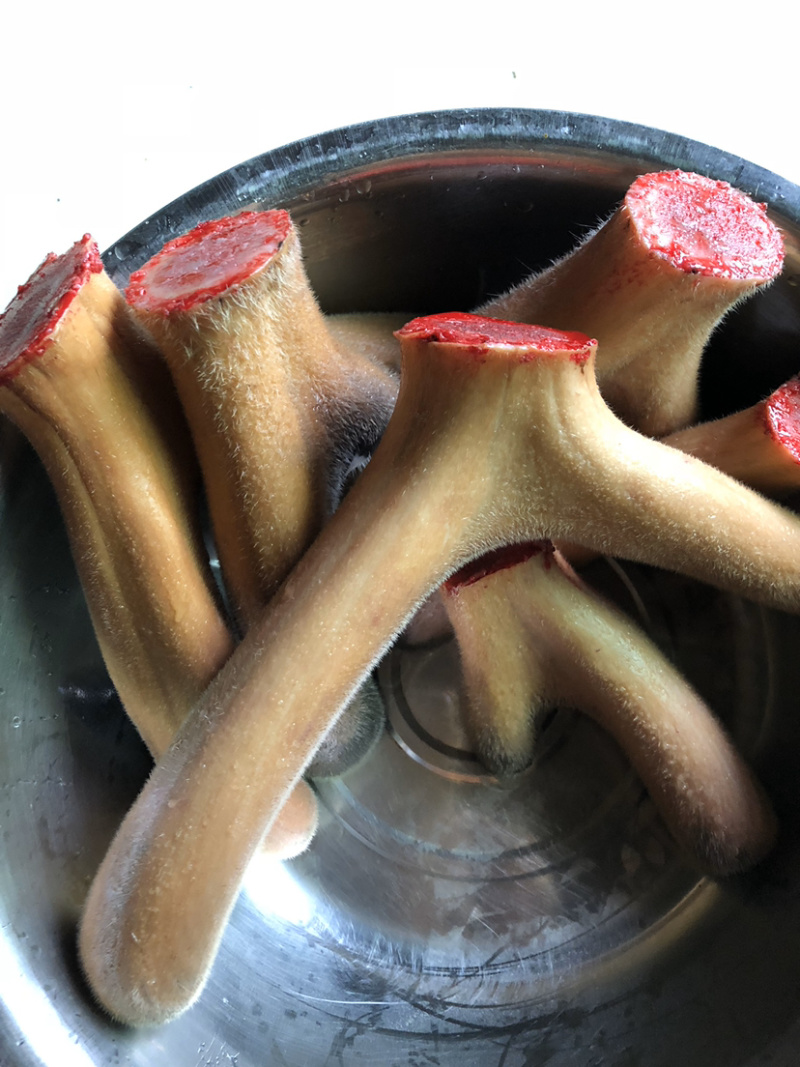 【自养自销】纯种梅花鹿鹿茸鹿茸野草饲养零添加欢迎