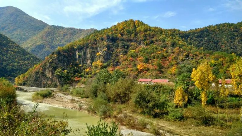 【假一赔十】农家土蜂蜜，深山老林养殖，大量供应中