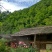【假一赔十】农家土蜂蜜，深山老林养殖，大量供应中