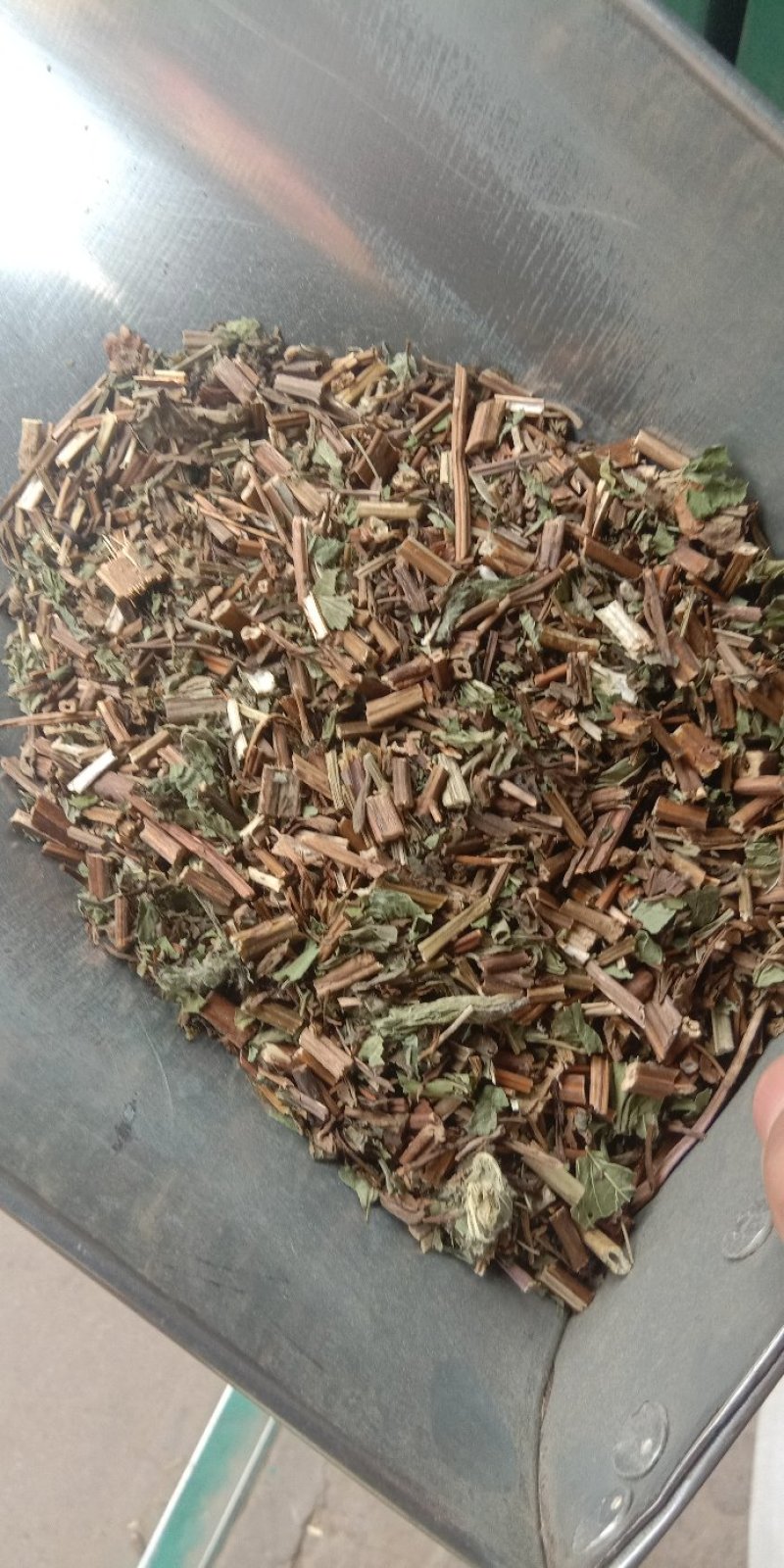 薄荷薄合全草无土吸尘干净各种中草药