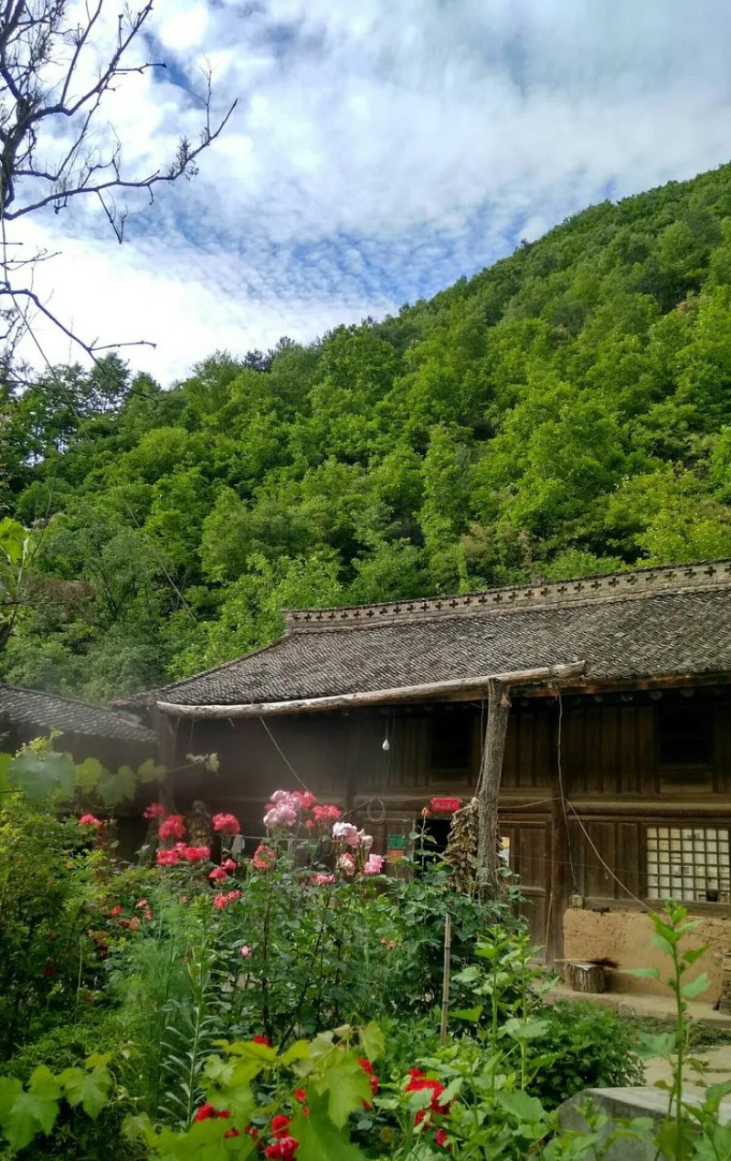 【纯土蜂蜜】太白土蜂蜜，蜂场直供，全国各地可发货