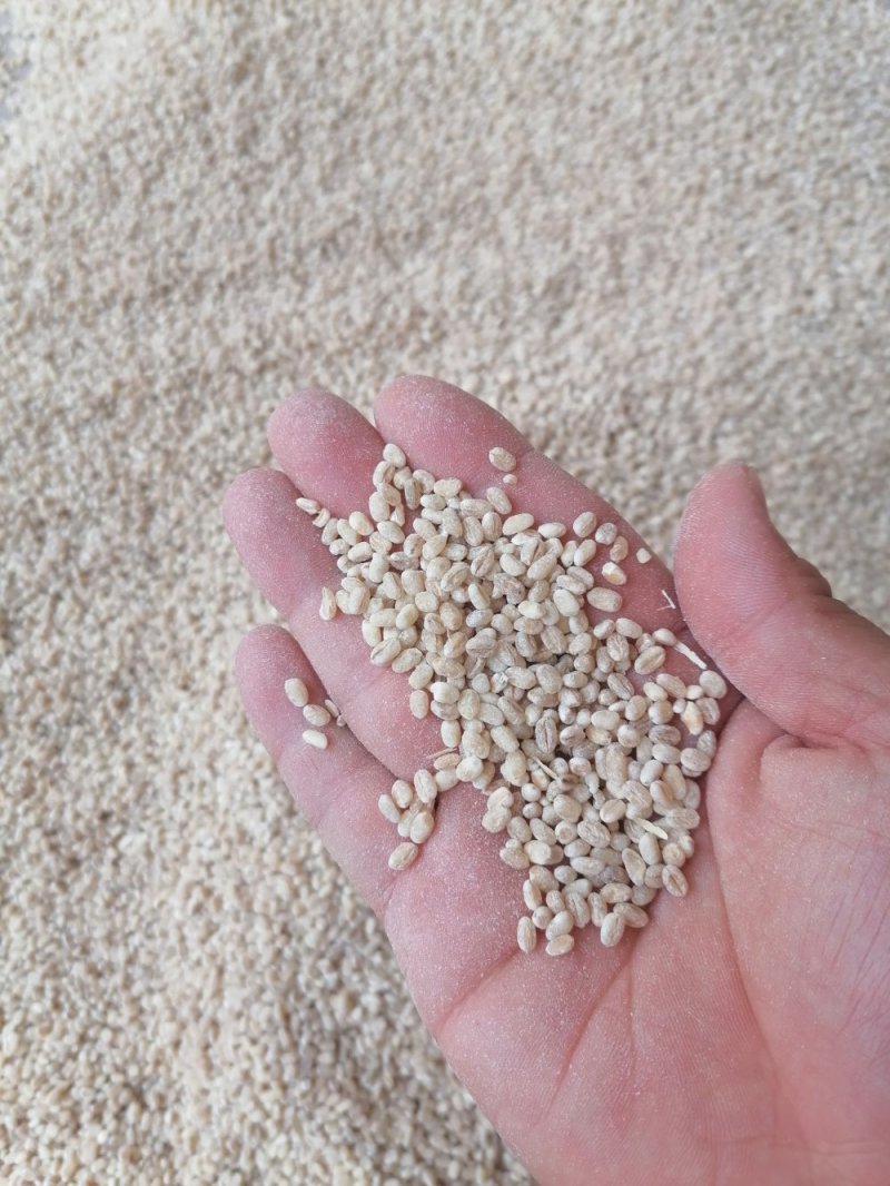 麦仁