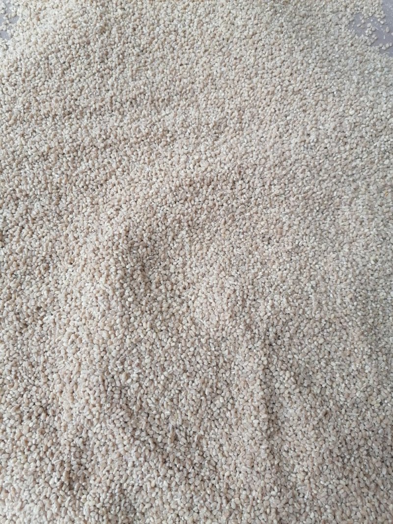 麦仁