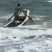 广东粤东沿海浅海鱼鲜鱿鱼
