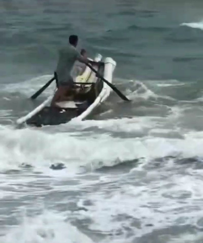 广东粤东沿海浅海鱼鲜鱿鱼