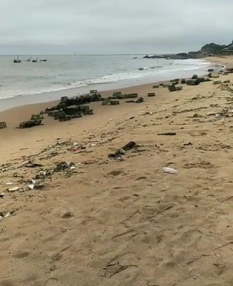 广东粤东沿海浅海鱼鲜鱿鱼