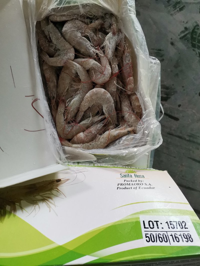 龙虾尾