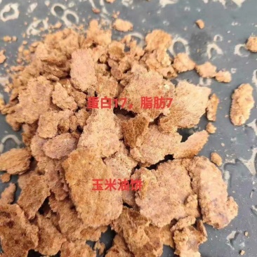 厂家直销玉米油饼玉米胚牙提油后的副产品即为玉米胚芽饼粕，