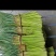 邳州精品小把大把蒜薹邳州精品小把大把蒜薹
