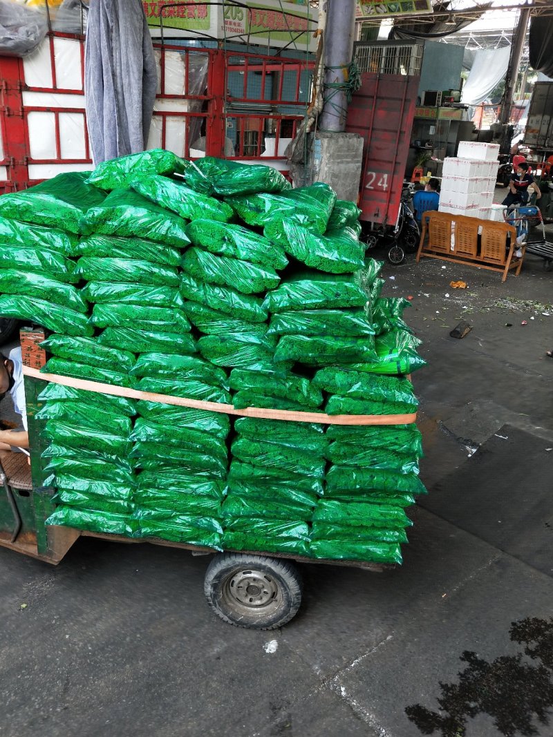 邳州精品小把大把蒜薹邳州精品小把大把蒜薹