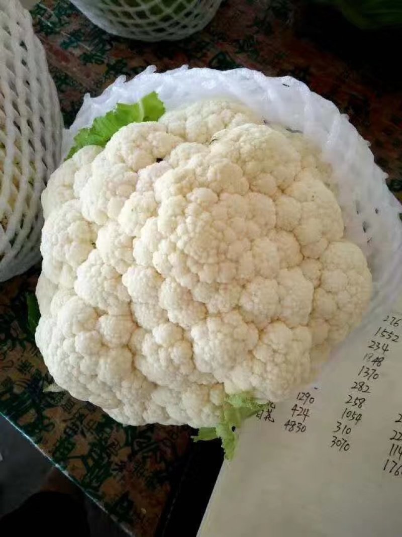 叶菜类