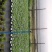 铜钱草土培水培植物室内办公室桌面绿色小植物净化空气