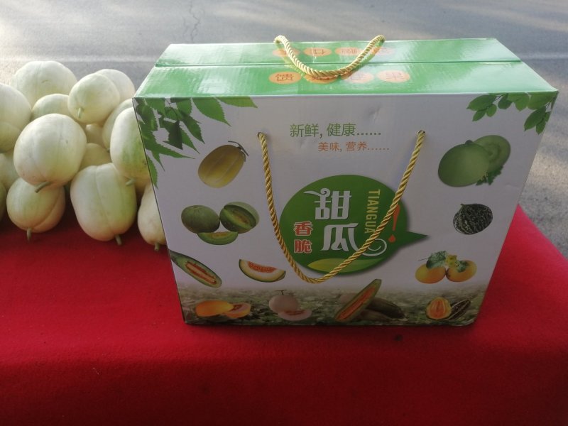 新开园陆地自根甜瓜香瓜保甜，嘎嘎的，为了走量