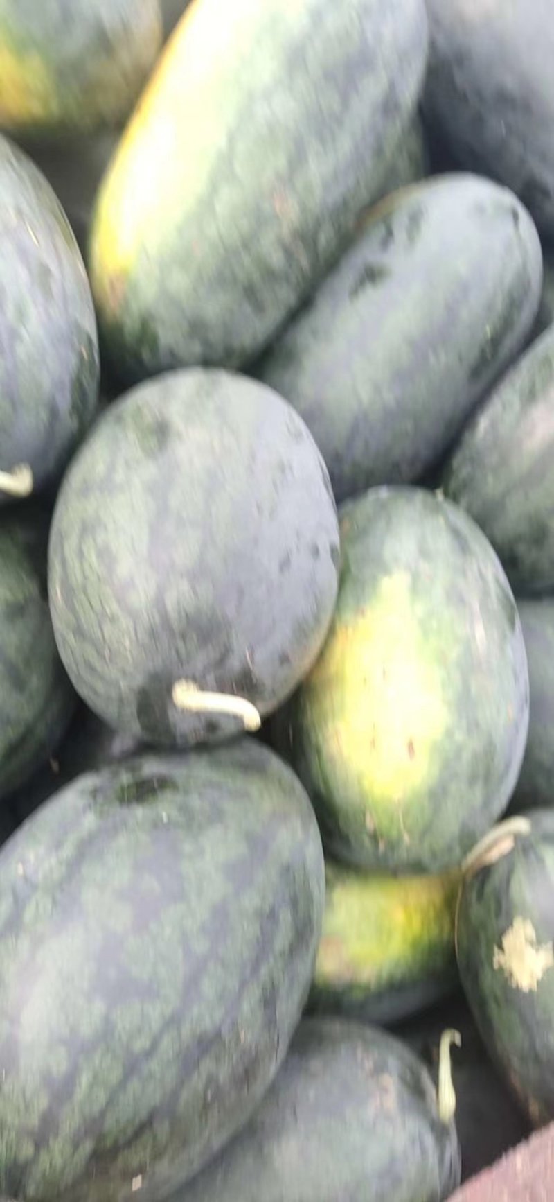 追求完美