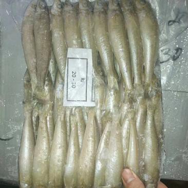 沙尖鱼，20-30条/斤，17条/斤，定装，40斤/件