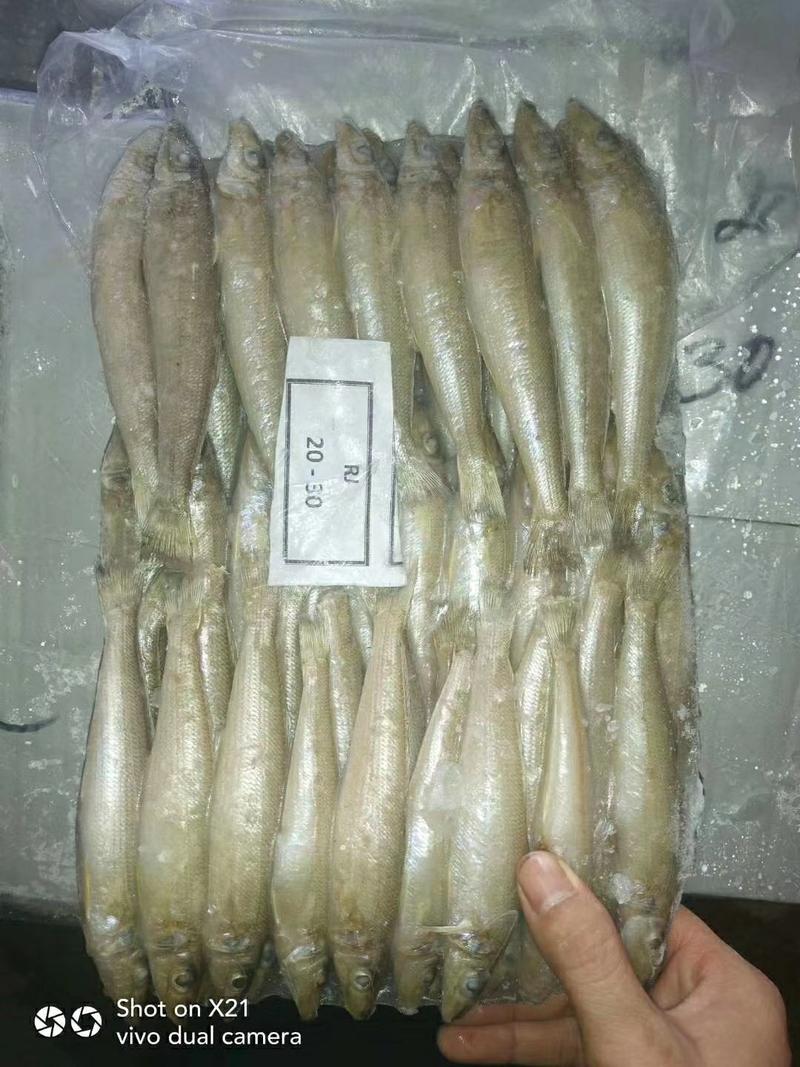 沙尖鱼，20-30条/斤，17条/斤，定装，40斤/件
