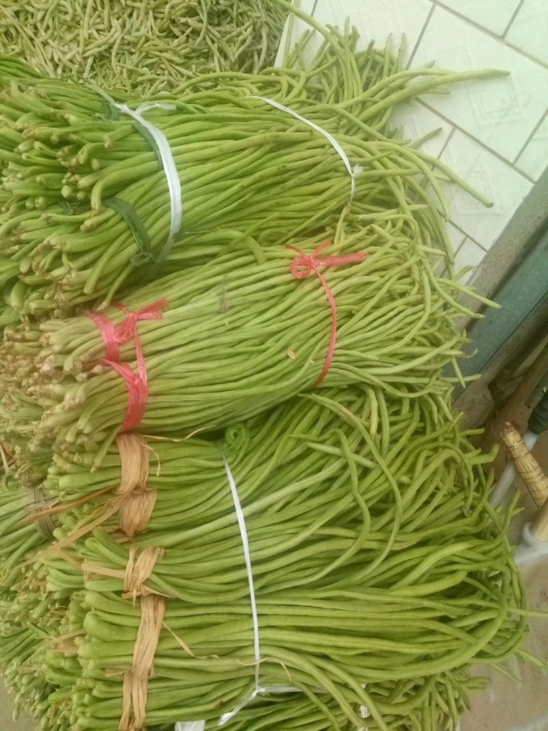 长豇豆条直货源充足量大从优，需要上货的客户赶快预订