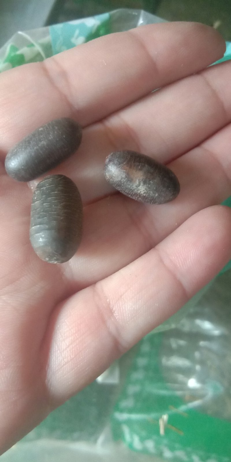 石莲子各种中药材泡酒料