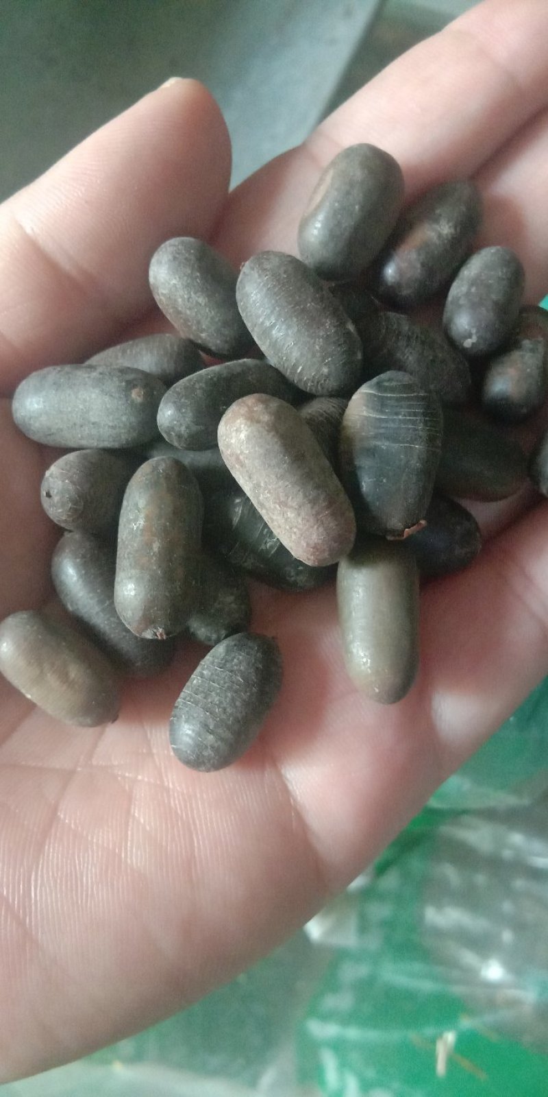 石莲子各种中药材泡酒料