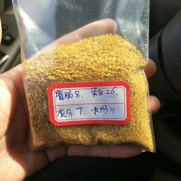 玉米酒糟是酒糟蛋白饲料的商品名，简称DDGS玉米酒糟