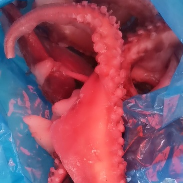 章鱼足