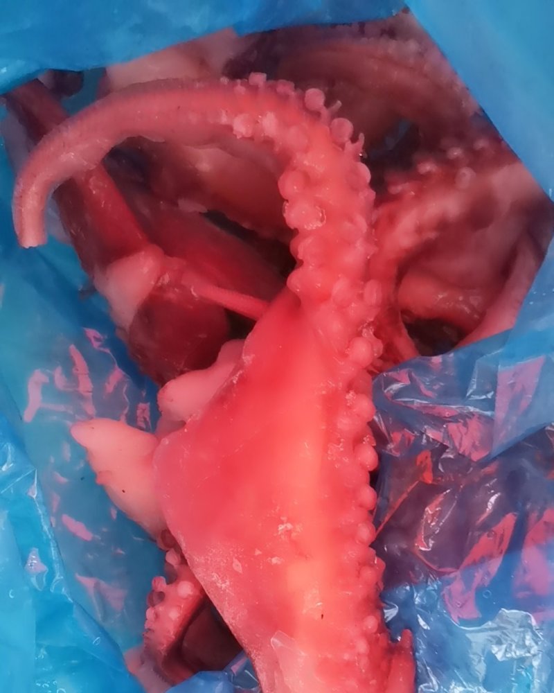 章鱼足
