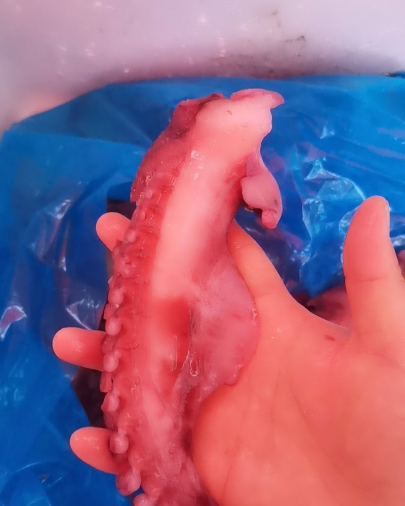章鱼足