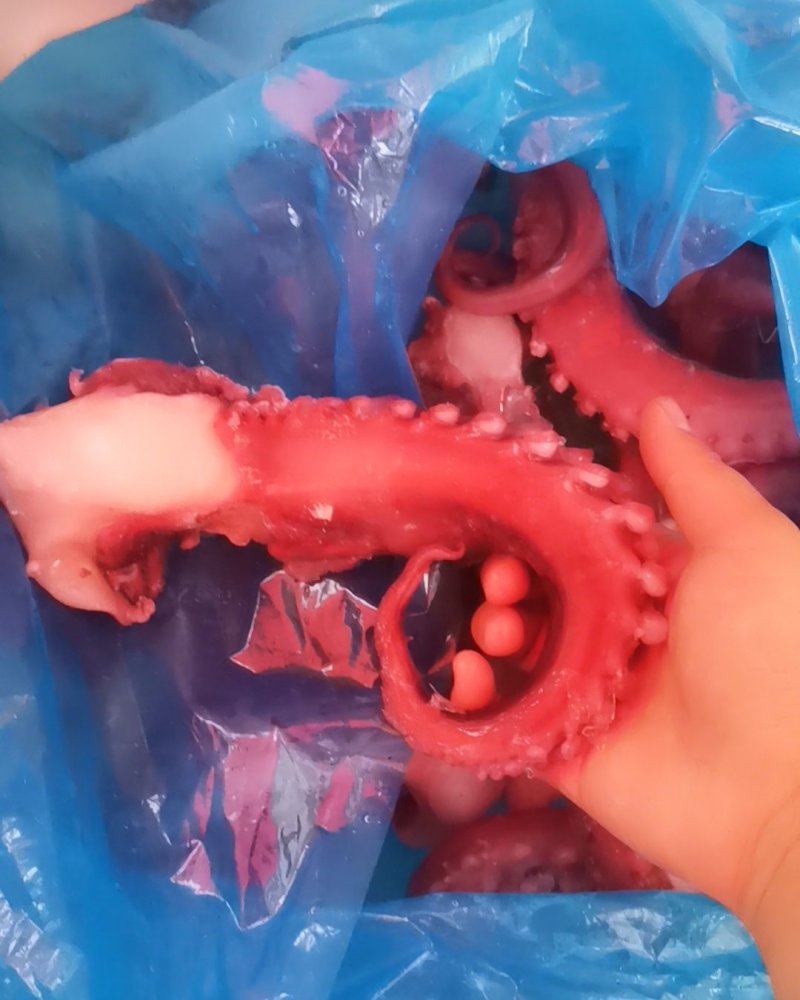 章鱼足