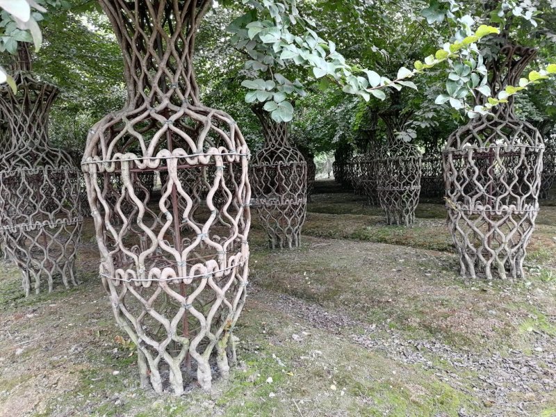 基地大量供应，紫薇造型，柱状造形，花瓶造型等，货源丰富