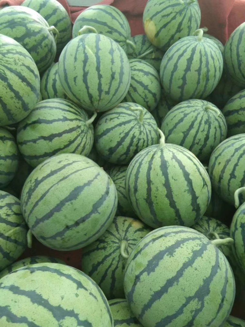 8424