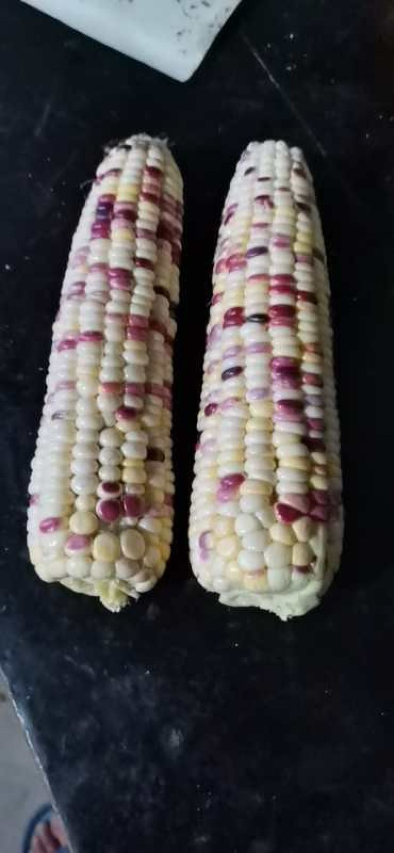 玉米（甜玉米和糯玉米）
