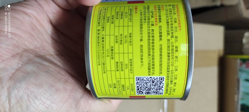 青硕秋爽大白菜种子中熟品种外叶绿色内心浅黄色风味品质优良