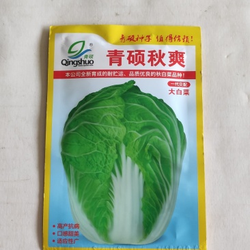 青硕秋爽大白菜种子中熟品种外叶绿色内心浅黄色风味品质优良