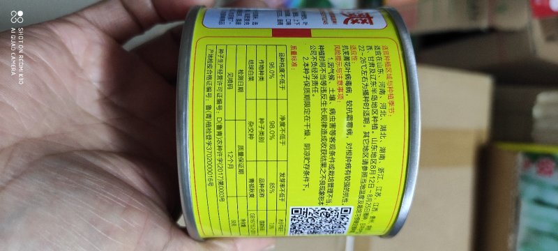 青硕秋爽大白菜种子中熟品外叶绿色内心浅黄色风味品质优良