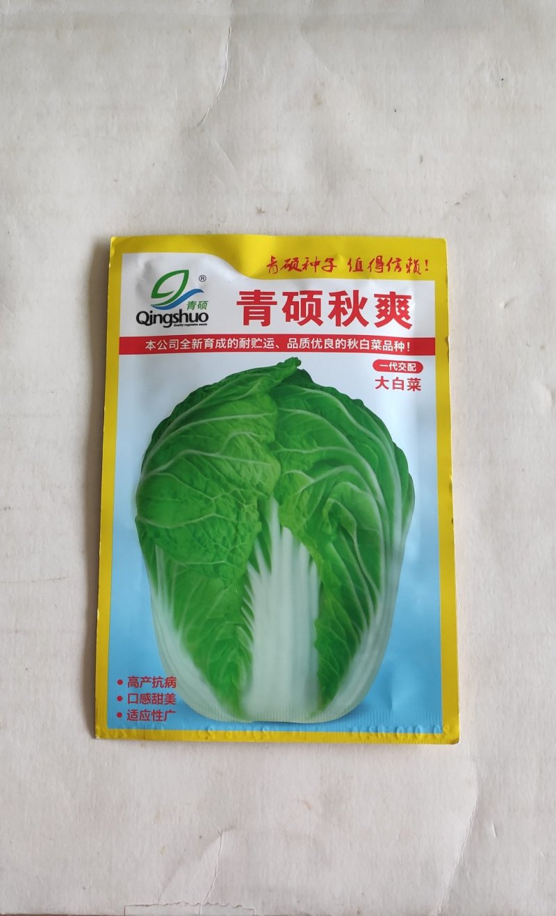 青硕秋爽大白菜种子中熟品外叶绿色内心浅黄色风味品质优良