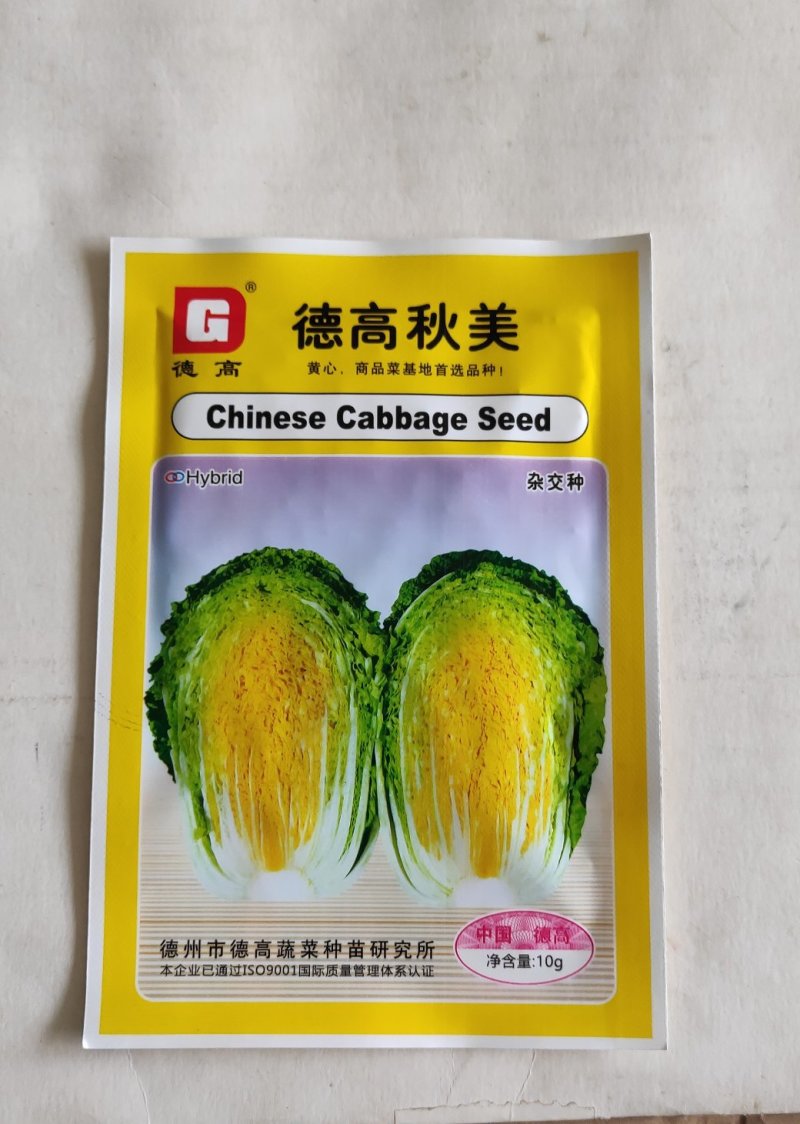 德高秋美大白菜种子属黄心类型秋白菜杂交种叶球内部黄色风味