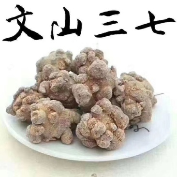 文山三七云南文山自产精品三七