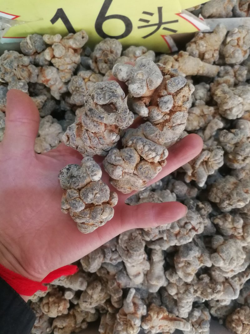 文山三七云南文山自产精品三七