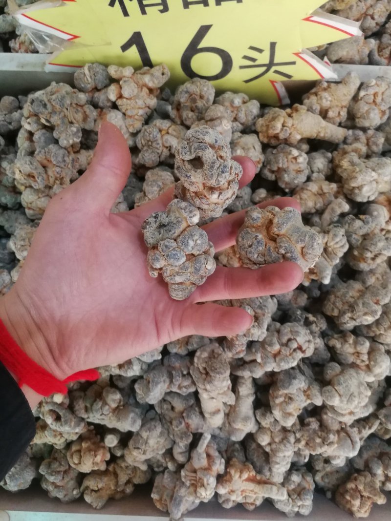 文山三七云南文山自产精品三七